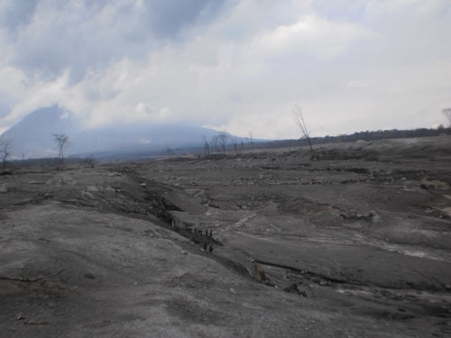 chamid3.jpg chamid3.jpg